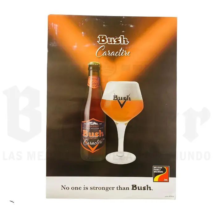 Aficha Bush Caractere